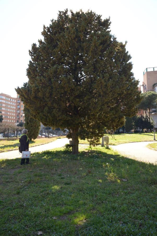 Apartamento Brezza Marina Roma Exterior foto